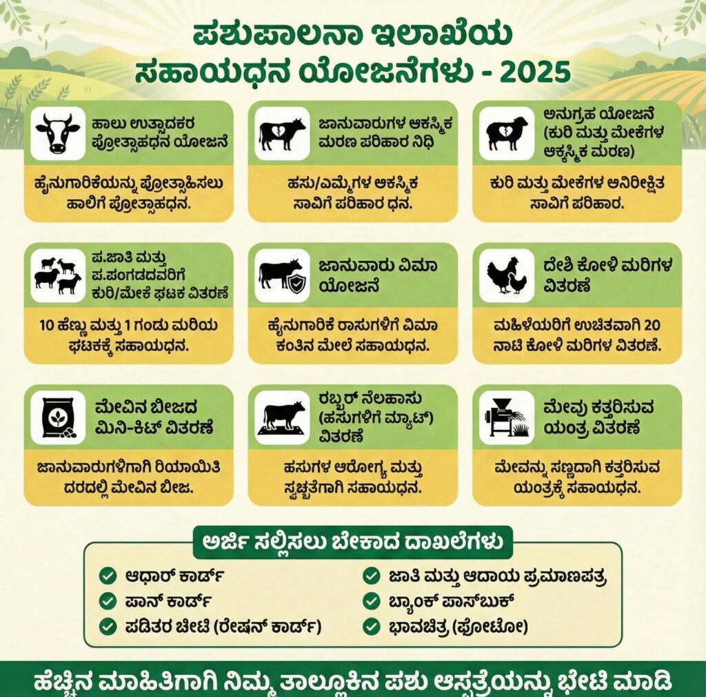 WhatsApp Image 2025 12 24 at 12.17.59 PM