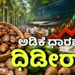 WhatsApp Image 2025 12 25 at 6.09.02 PM