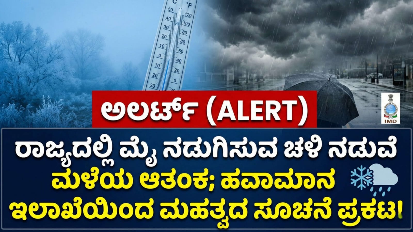 WhatsApp Image 2025 12 27 at 5.56.39 PM