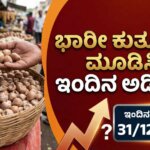 WhatsApp Image 2025 12 31 at 6.13.04 PM