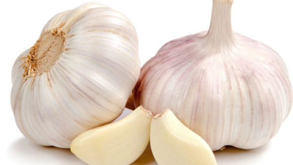 garlic image 1