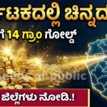 gold treasure karnataka