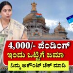 gruhalakshmi credited.jpeg