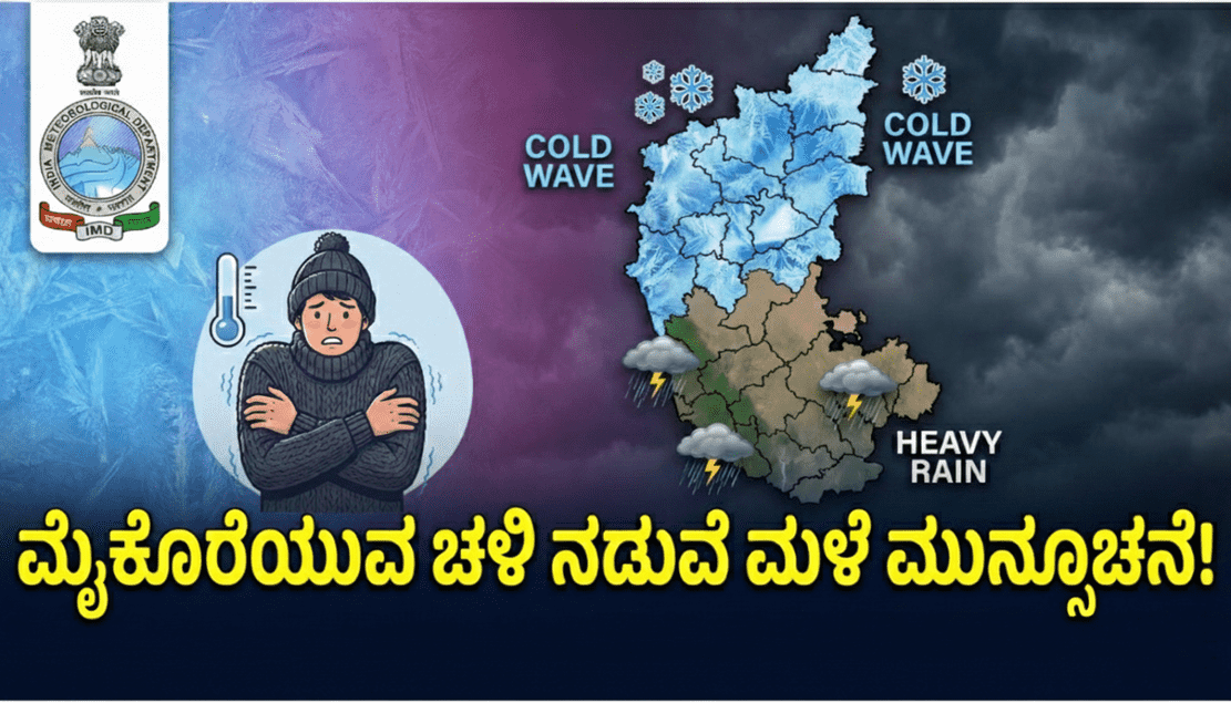 wmremove transformed 3 optimized 300