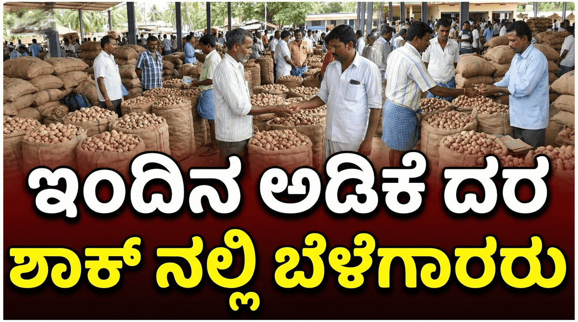 wmremove transformed 4 optimized 300