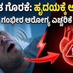 1768044823 202c419a optimized 300