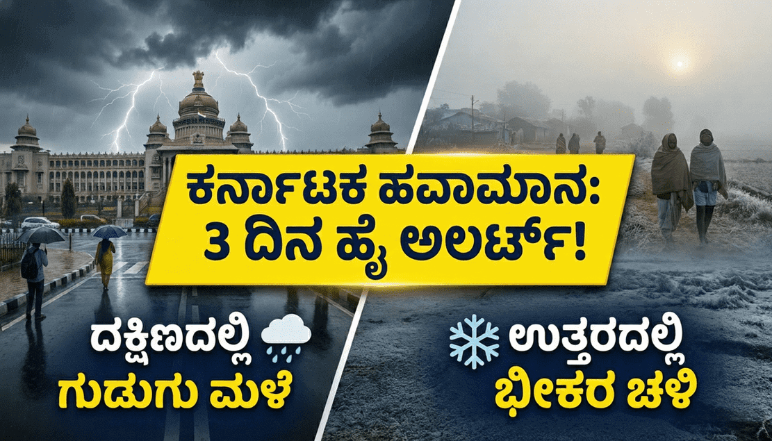 2262d5d1 fd2c 483e 972a 537708943efe optimized 300