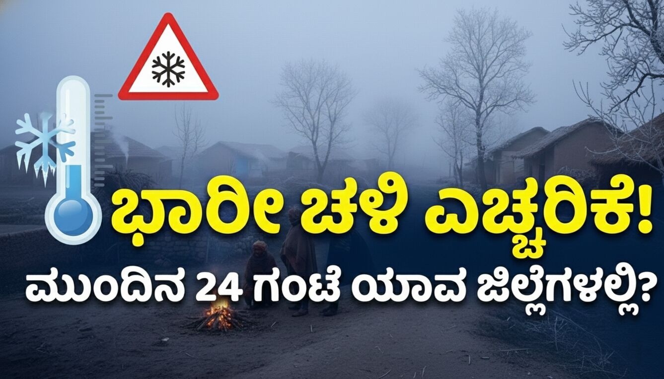 32fea5e6 79f5 4470 a4e8 cd85f1681930 optimized 300