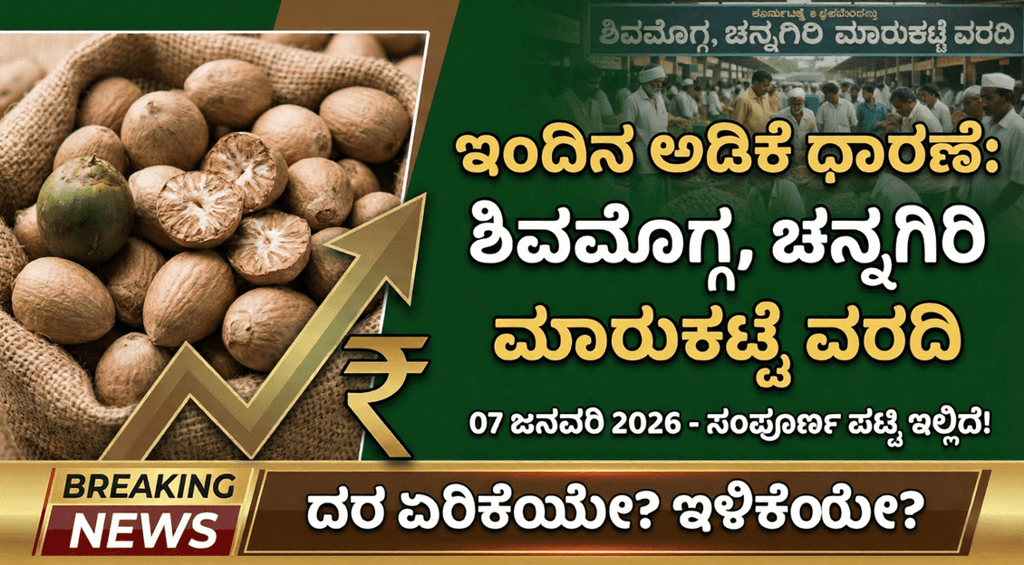 4d0f5a64 3778 403a 8dae da3ecca043d0 optimized 300