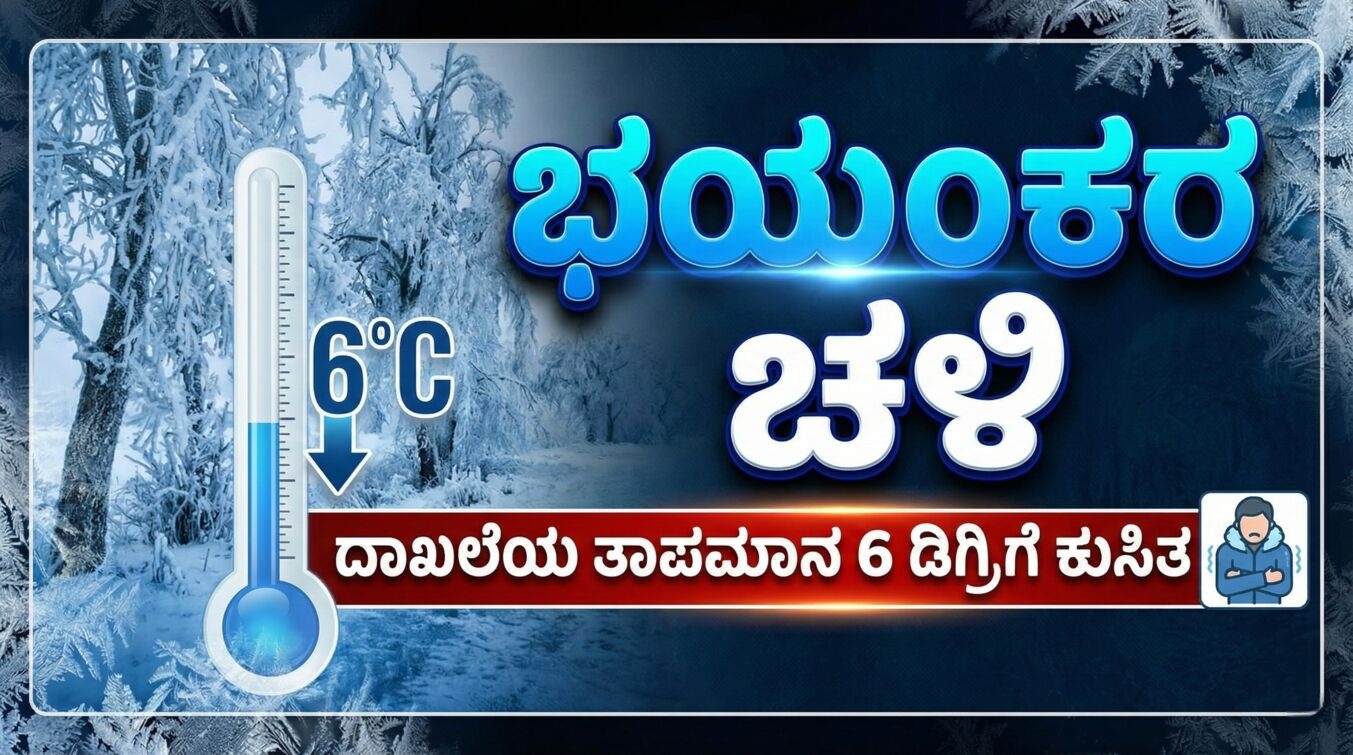 5fd6c0e4 aef3 4832 a203 5a6aab1ba5d7 optimized 300