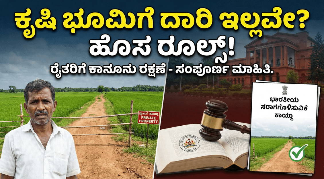 70d61ca1 f7a7 4b49 a0ca 4941bfa9ac41 optimized 300