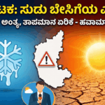 8c238d74 20e9 4257 9620 866ffbd74ec6 optimized 300