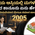 8d3d1637 f4d8 4f18 b4b5 9b6c11e3413c optimized