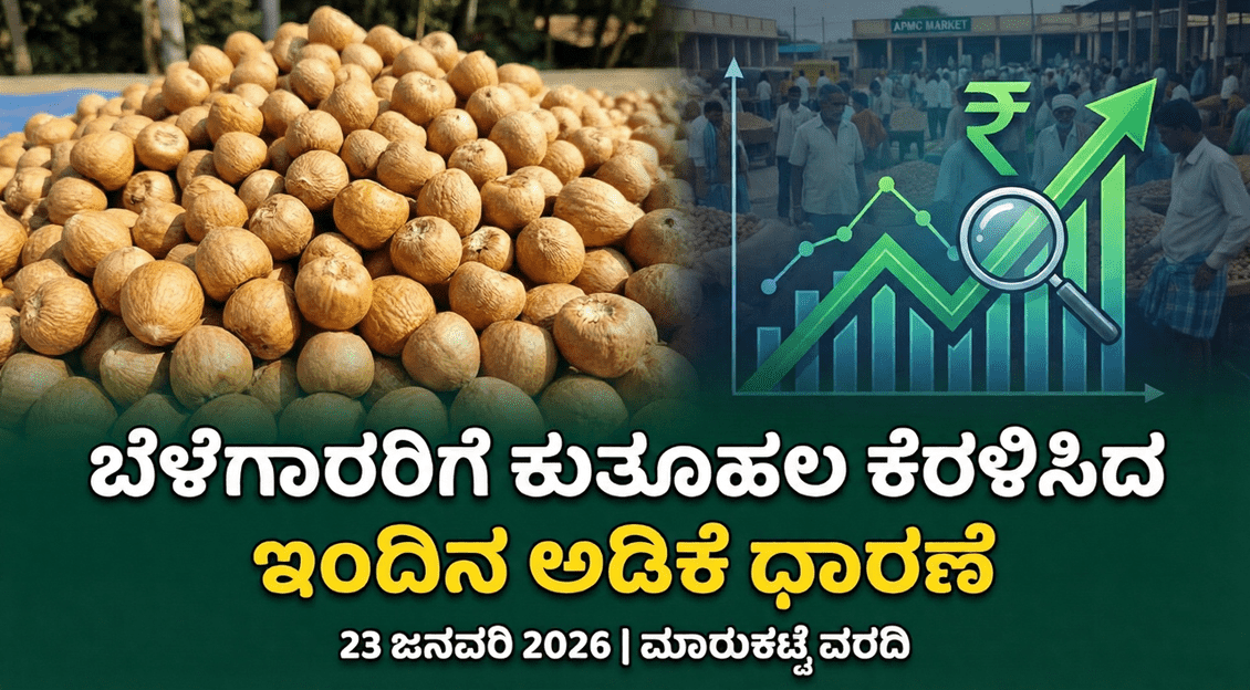 Gemini Generated Image 37leo737leo737le 1 optimized 300