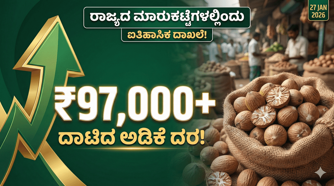 Gemini Generated Image fa8p7mfa8p7mfa8p optimized 300