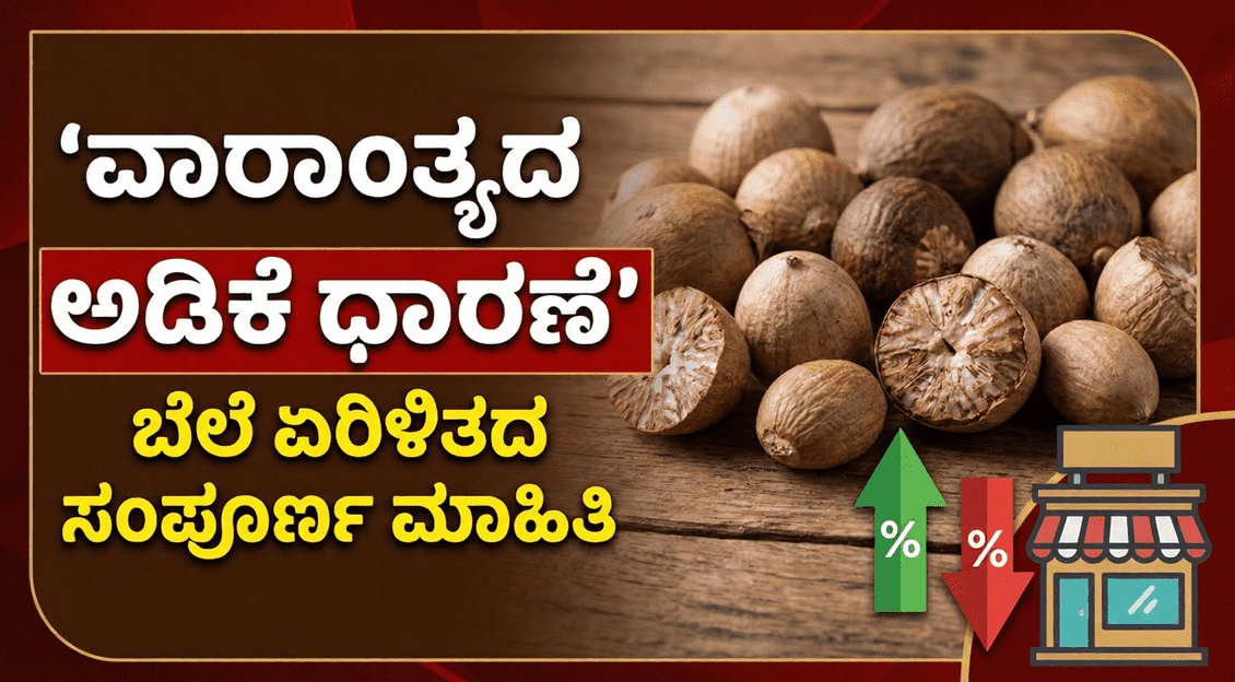 Gemini Generated Image fsdqpufsdqpufsdq 1 optimized 300