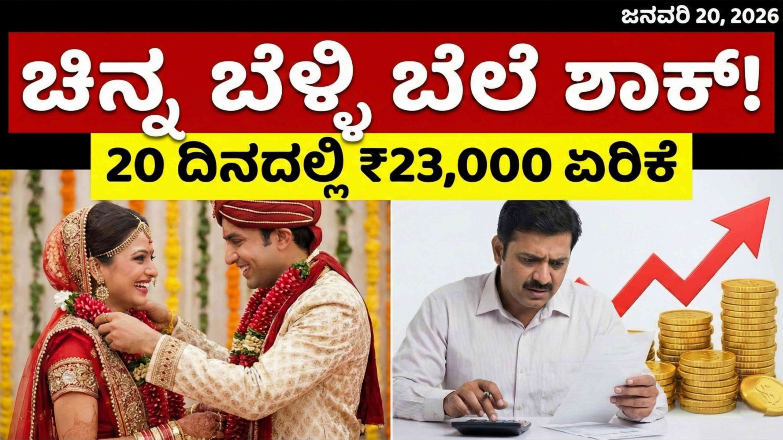 Gold Rate shock scaled