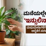 Medicinal plant for Diabetes