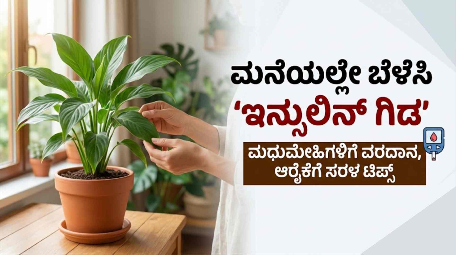 Medicinal plant for Diabetes