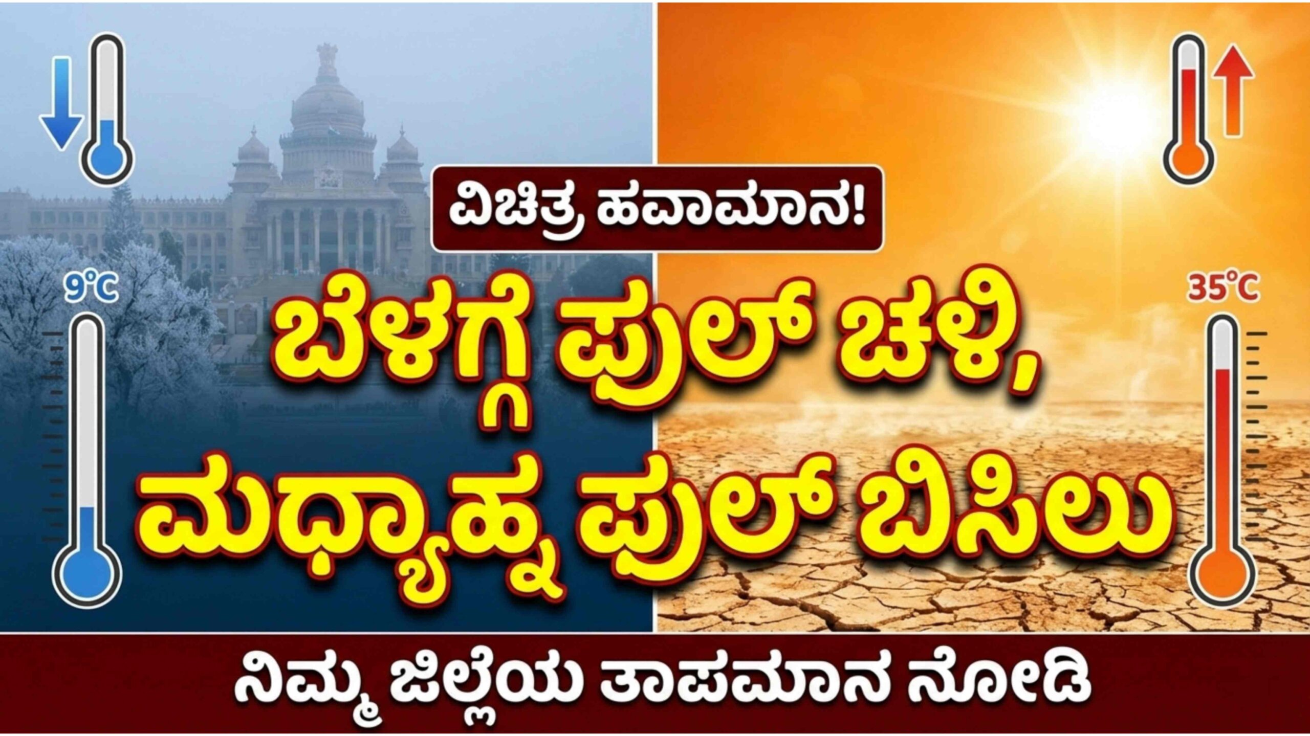 WEATHER UPDATE JAN 31ST scaled