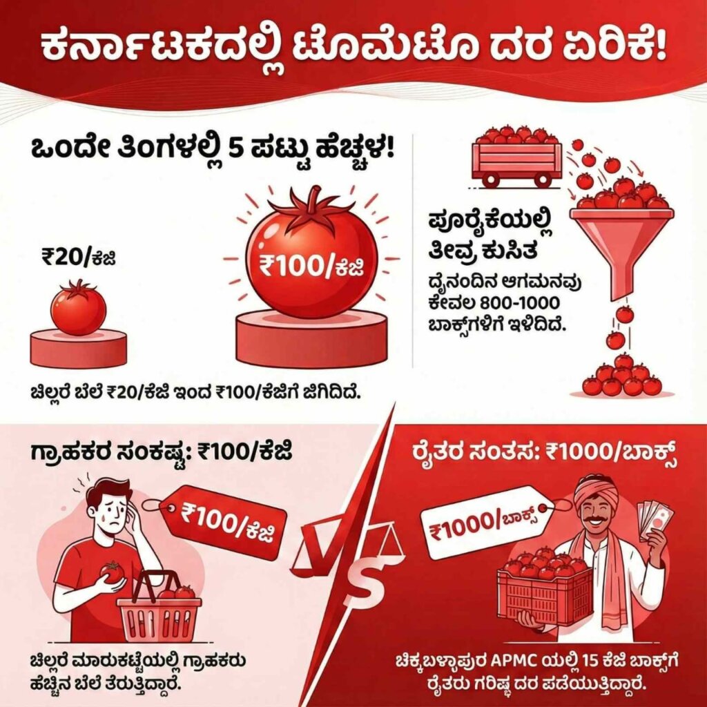 WhatsApp Image 2026 01 05 at 11.41.25 AM