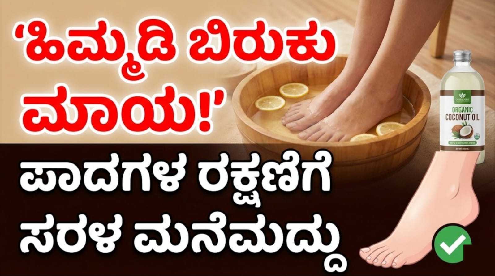 WhatsApp Image 2026 01 06 at 5.29.31 PM