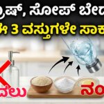 WhatsApp Image 2026 01 12 at 5.14.00 PM