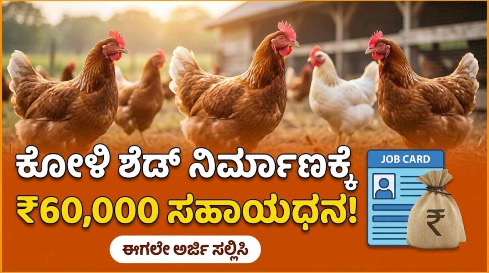 WhatsApp Image 2026 01 14 at 3.52.46 PM 1