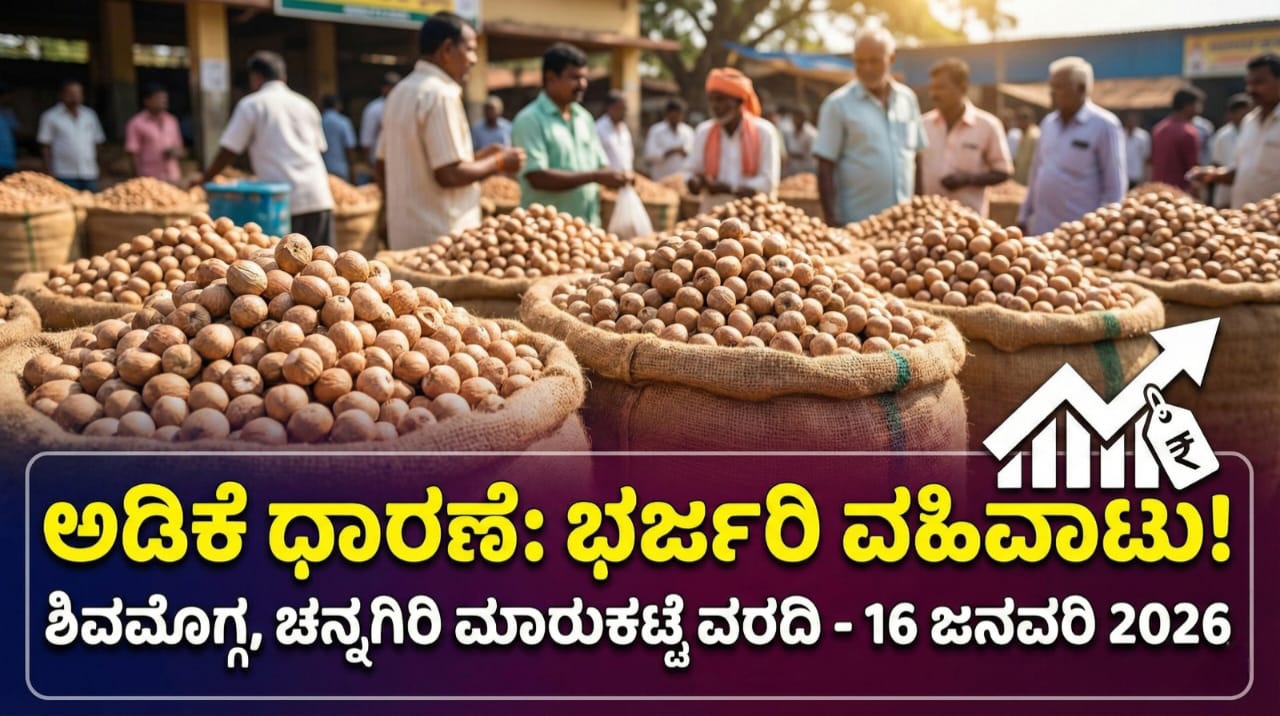 WhatsApp Image 2026 01 16 at 6.45.32 PM