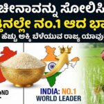 WhatsApp Image 2026 01 17 at 5.49.35 PM