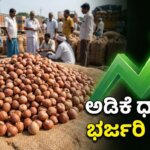 WhatsApp Image 2026 01 17 at 6.55.57 PM