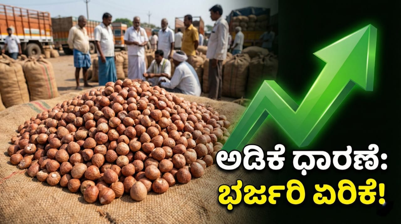 WhatsApp Image 2026 01 17 at 6.55.57 PM