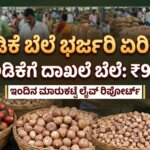 WhatsApp Image 2026 01 26 at 6.46.53 PM optimized