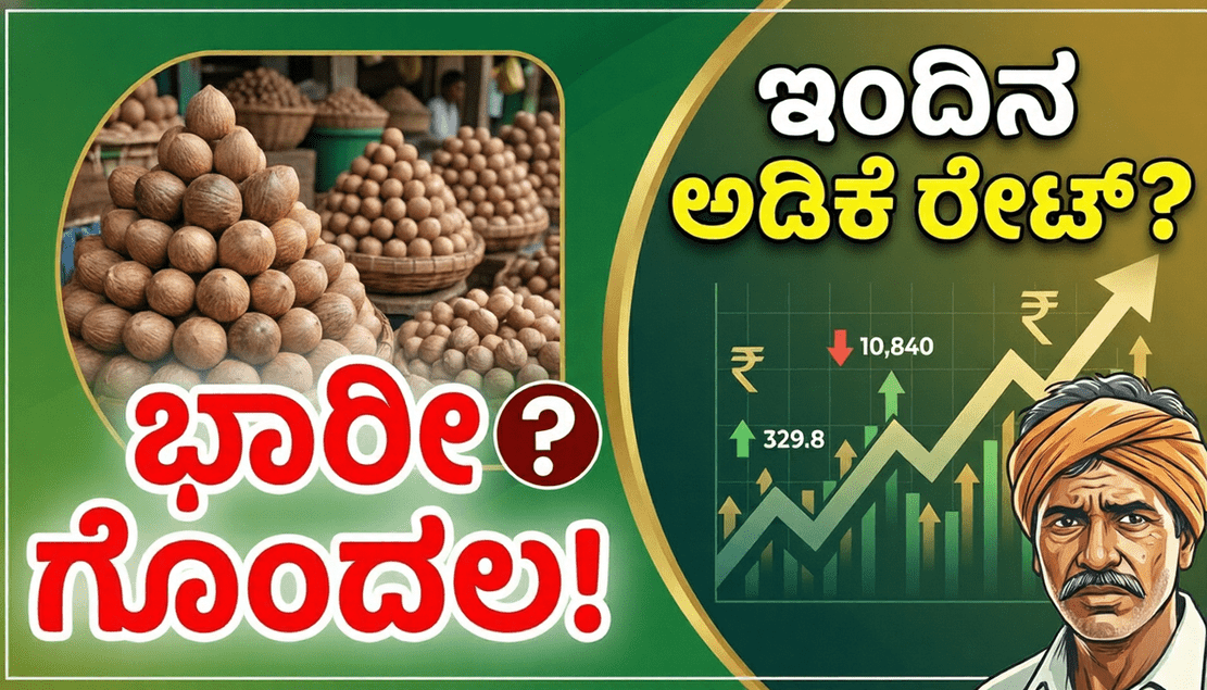 a4b0f693 575b 4887 bfa6 ba60d2e880c8 optimized 300 1