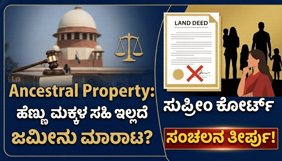 a7558baa 4c01 46e9 8d7d 2ebf1ac547cb optimized 300