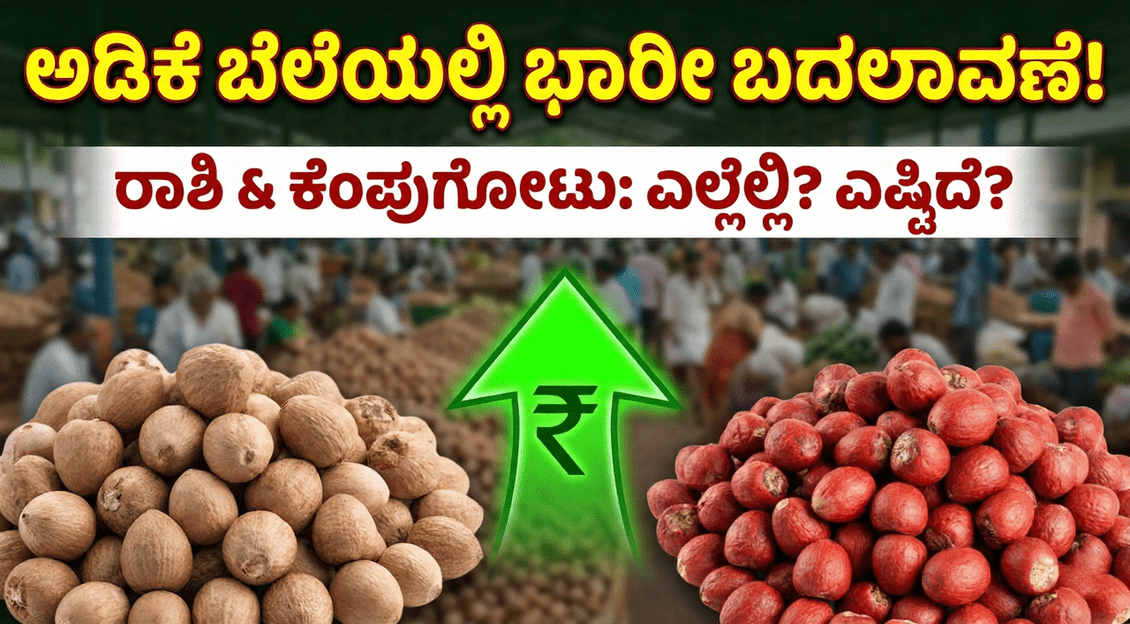 a8d76166 78c1 487a b7f6 74ce623a68be optimized 300