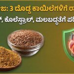 agase beeja health benefits kannada diabetes cholesterol control