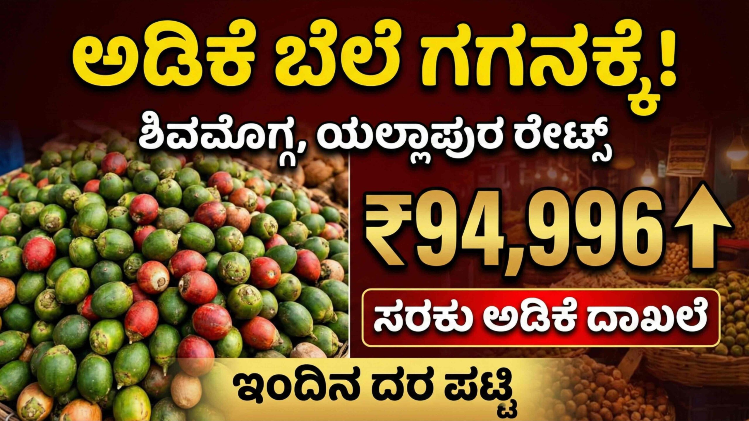 arecanut jan 29 scaled