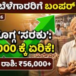 arecanut market price today 30 jan 2026 shivamogga channagiri