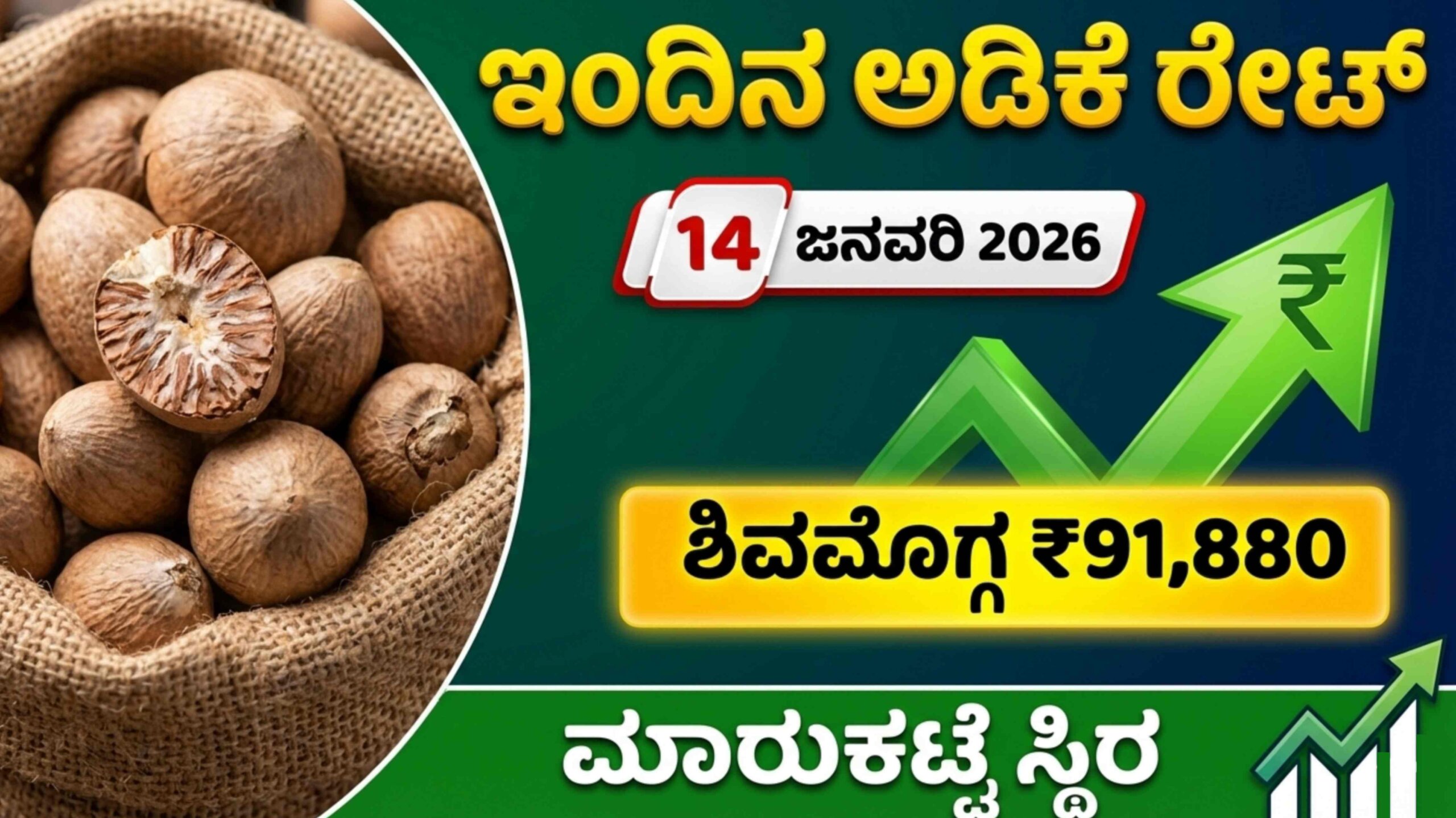 arecanut price jan 14th scaled