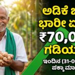 arecanut price today karnataka 31 january 2026 adike dharane