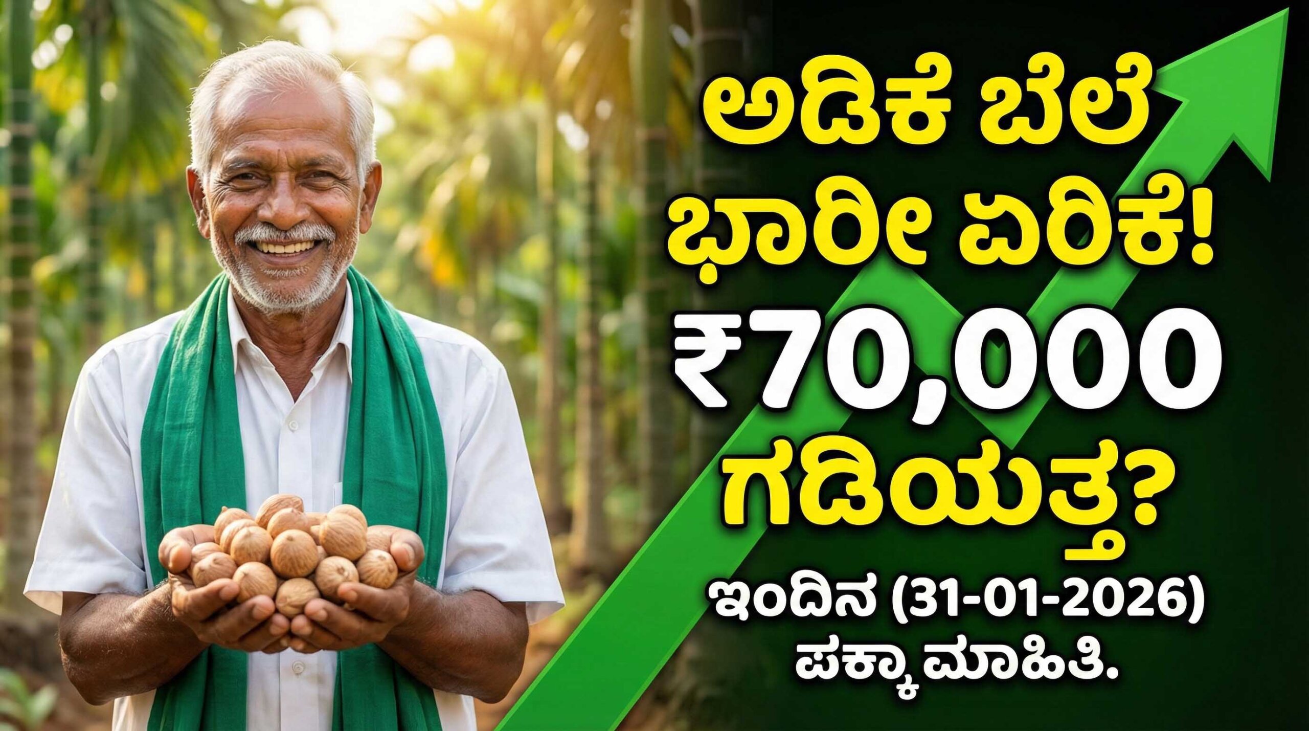 arecanut price today karnataka 31 january 2026 adike dharane scaled