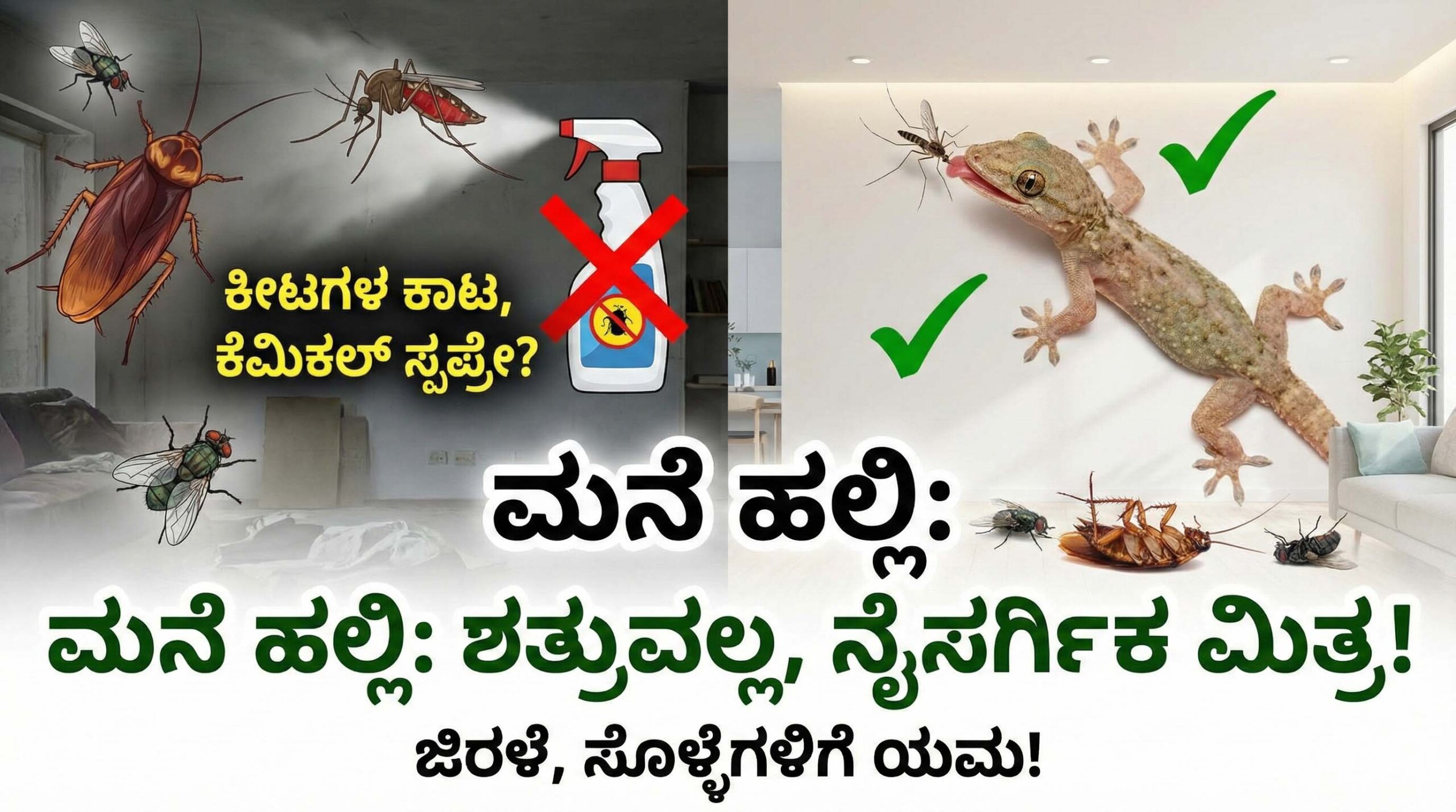 benefits of house lizards in home scaled