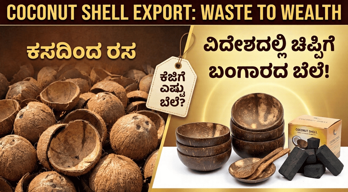 cef1ab06 7541 4051 a0c4 a2ca5dba3f02 optimized 300