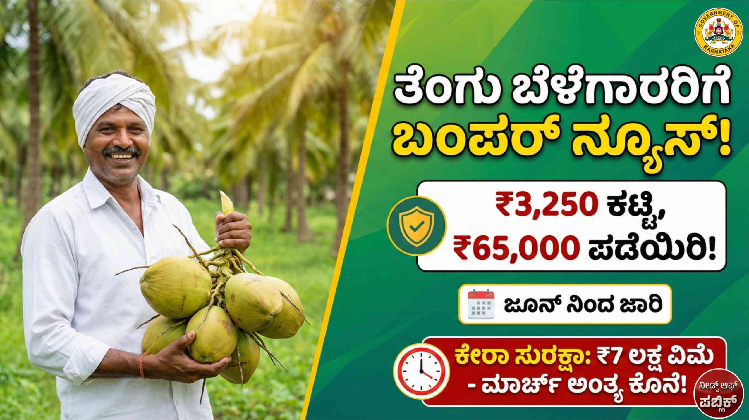 coconut insurance scaled