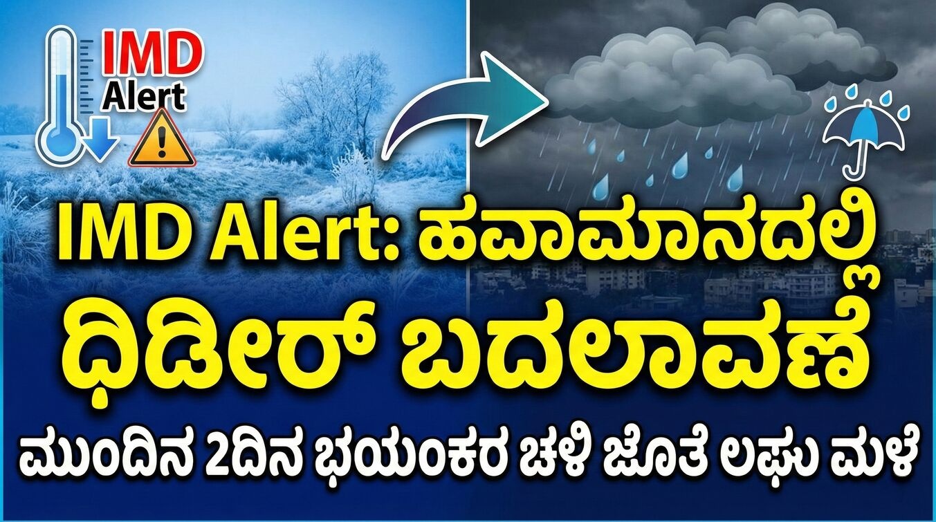 de3932b6 f9b9 46fe ac71 f232b4b5ff34 1767704876 optimized 300