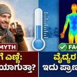 does alcohol keep body warm in winter truth kannada