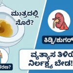 foamy urine causes diabetes kidney symptoms kannada
