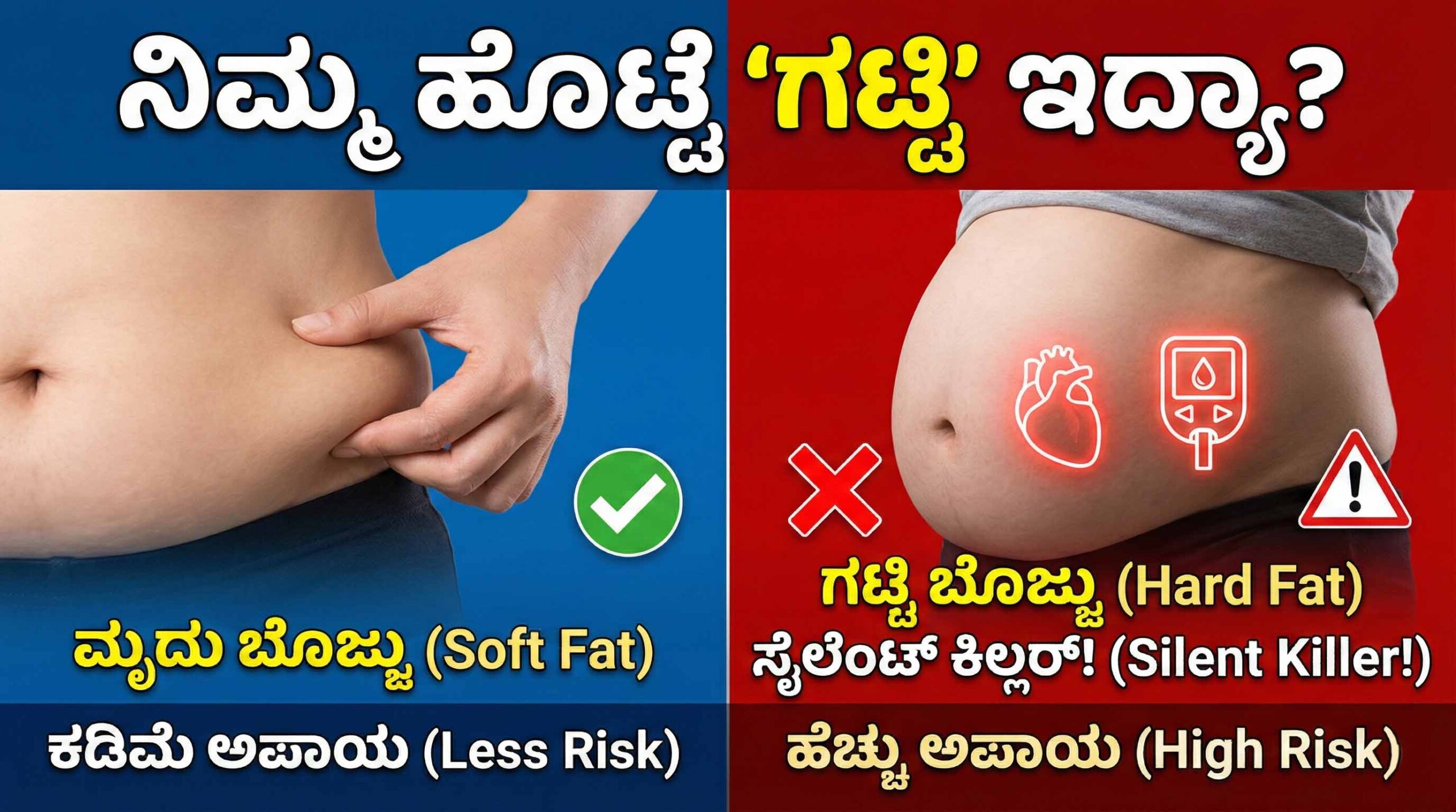 hard vs soft belly fat health risks kannada scaled