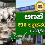 mushrooms subsidy